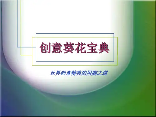 五.2 创意葵花宝典