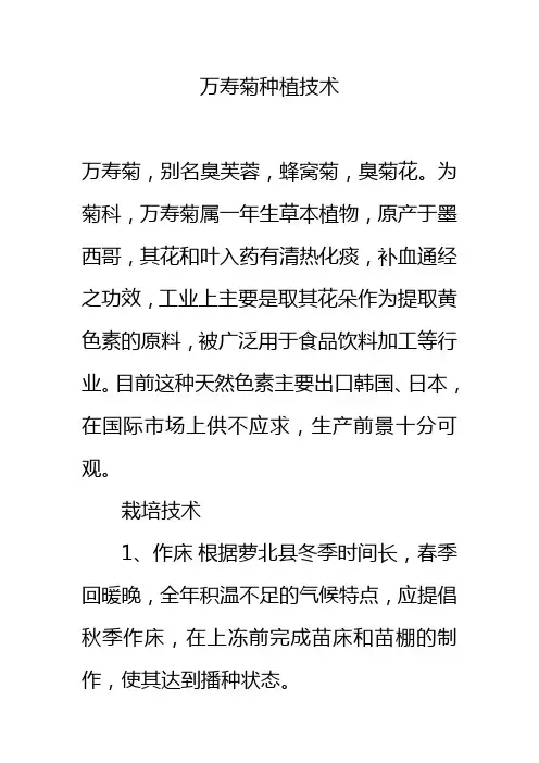 万寿菊种植技术