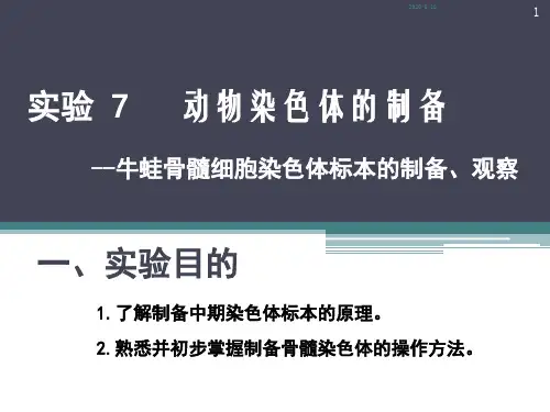 实验7动物染色体标本制备