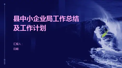 县中小企业局工作总结及工作计划