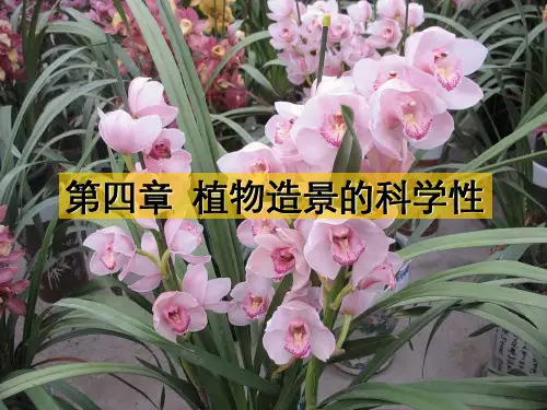 第4章植物造景科学性