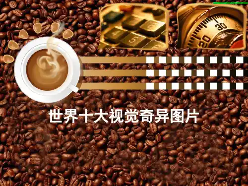 世界十大视觉奇异图片(1)