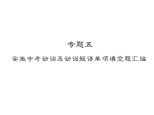 2019届人教版九年级英语下册(安徽专版)习题课件：专题5  安徽中考动词及动词短语单项填空题汇编 (共40张P