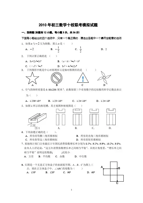 2010年中考数学十校联考模拟试题(含答案)