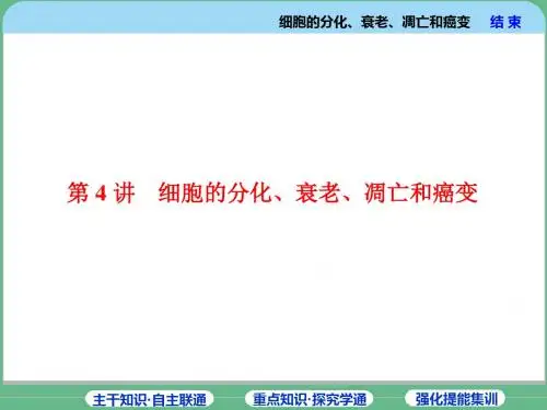 2019年高考生物一轮复习精品课件：必修1 第4单元 第4讲 细胞的分化、衰老、凋亡和癌变