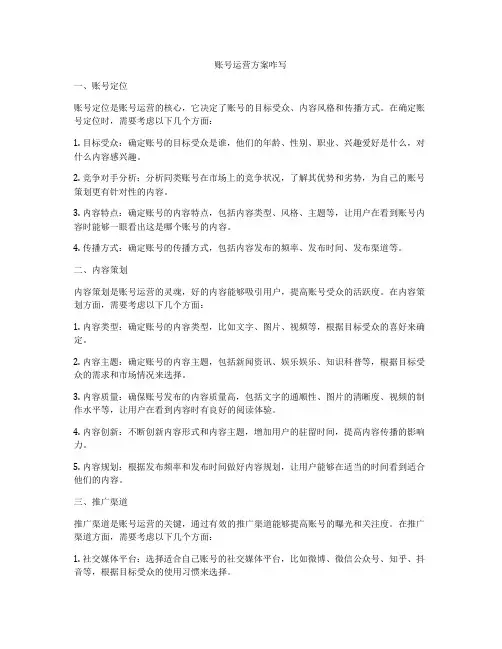 账号运营方案咋写