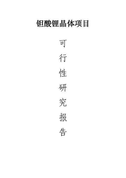 钽酸锂晶体项目可行性研究报告