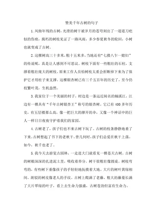 赞美千年古树的句子