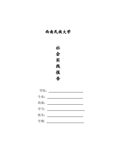 西南民族大学 寒假支教社会实践报告