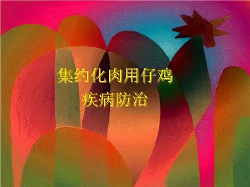 肉仔鸡疾病防治