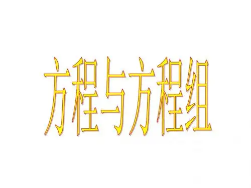 中考数学复习方程与方程组[人教版]
