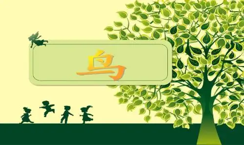 最新初二人教版八年级上册生物课件第六课鸟