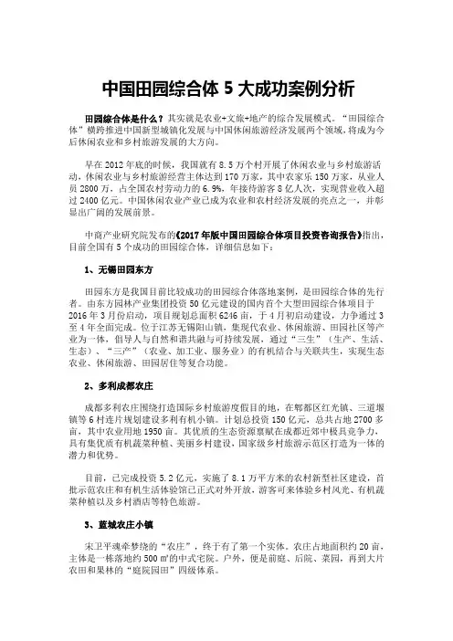 中国大田园综合体成功案例分析 2