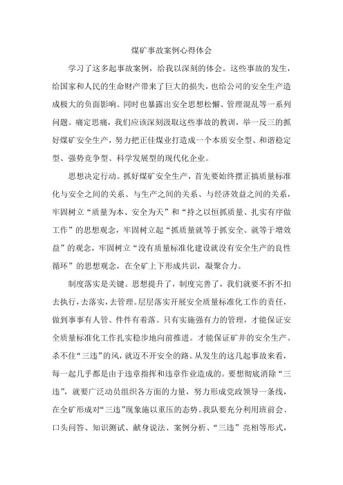煤矿事故案例心得体会 2