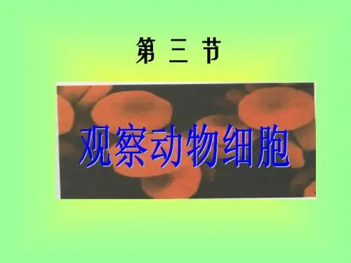 10、观察动物细胞1