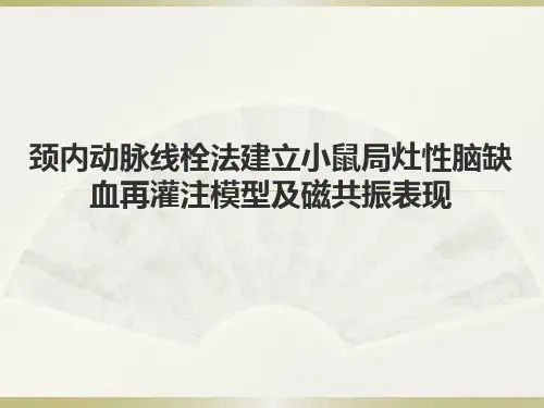 颈内动脉线栓法建立小鼠局灶性脑缺血再灌注模型及磁共振表现