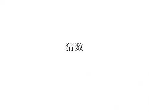 C 04 猜数