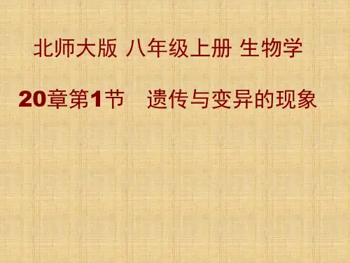 北师大版遗传和变异现象学习课件PPT