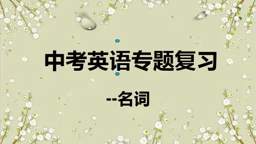 中考英语专题复习名词【精选】