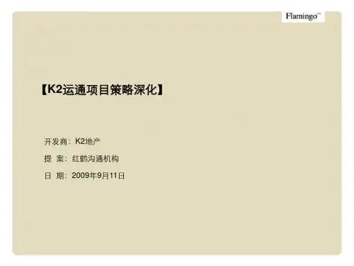 红鹤沟通2019年北京运通项目策略深化-精品