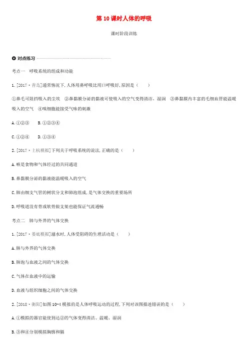 2019年中考生物第四单元生物圈中的人第10课时人体的呼吸复习练习