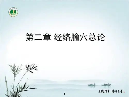 腧穴总论