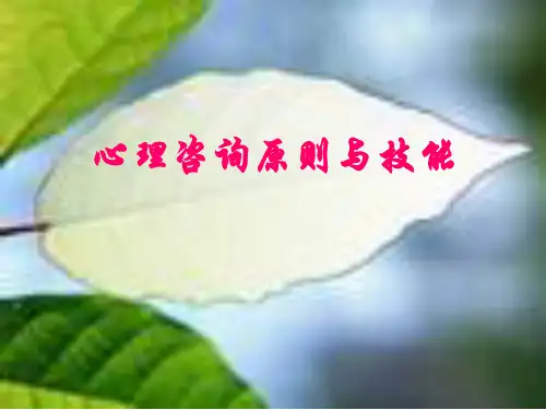 --心理咨询原则与技能