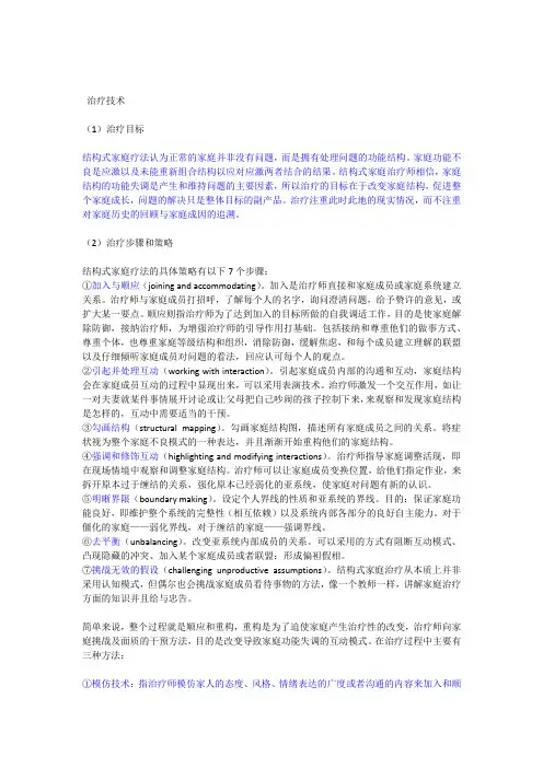 结构式家庭疗法 2