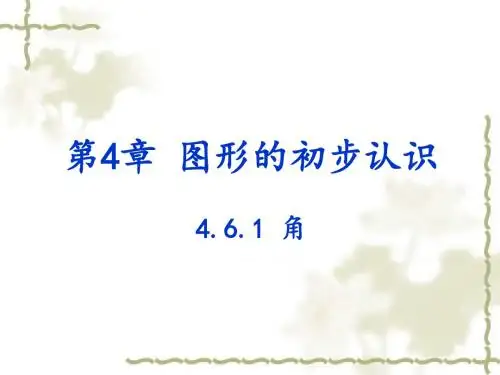 华师大版数学七年级上册课件  第4章 4.6.1 角 (共19张PPT)