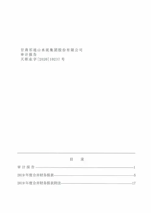 祁连山:2019年度审计报告