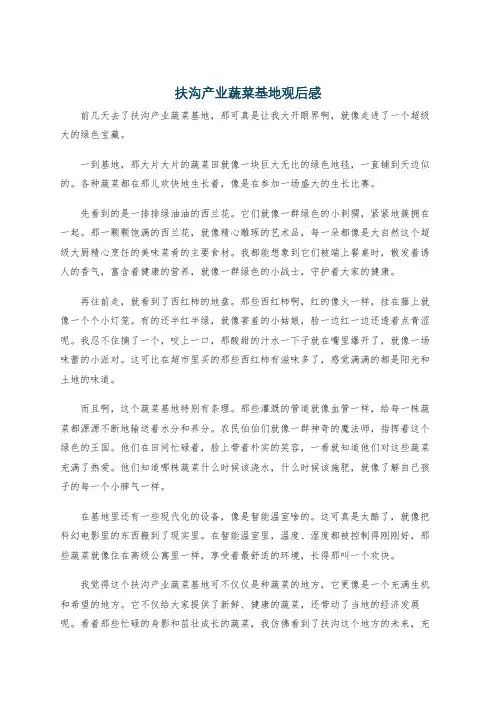 扶沟产业蔬菜基地观后感