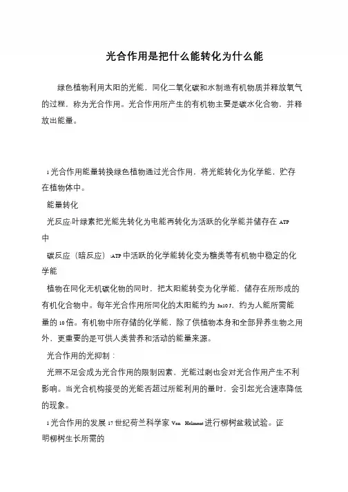 光合作用是把什么能转化为什么能