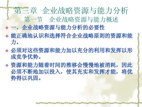 第三章 企业战略资源与能力分析