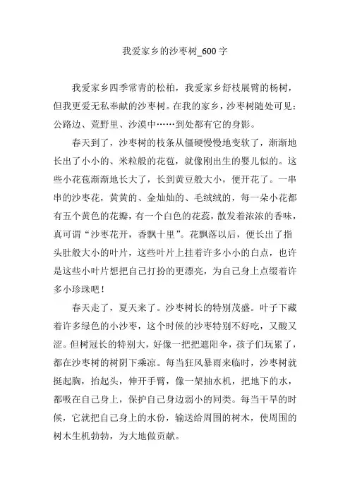 我爱家乡的沙枣树_600字