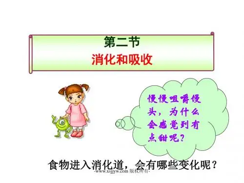 科学九年级上册浙教版4-2食物的消化和吸收课件(共61张PPT)