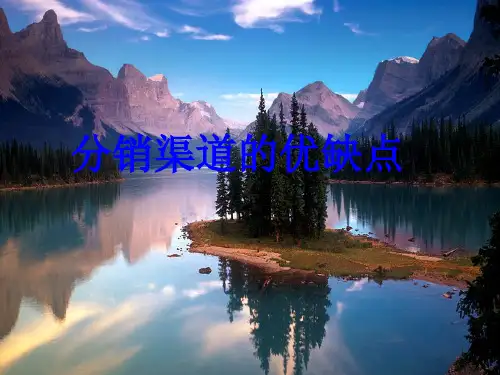 可口可乐分销渠道优缺点