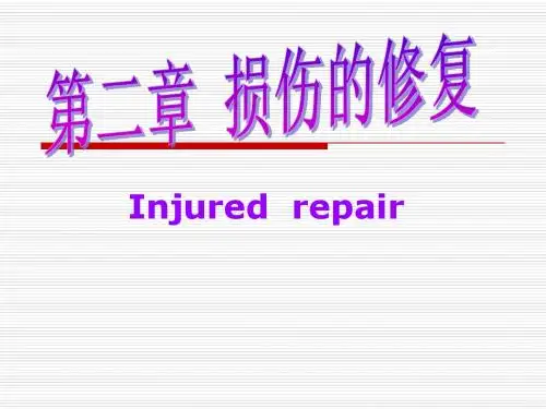 第二章 损伤的修复7