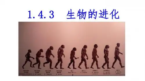 9下 1.4.3 生物的进化