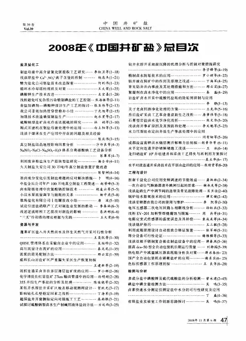2008年度《中国井矿盐》总目次