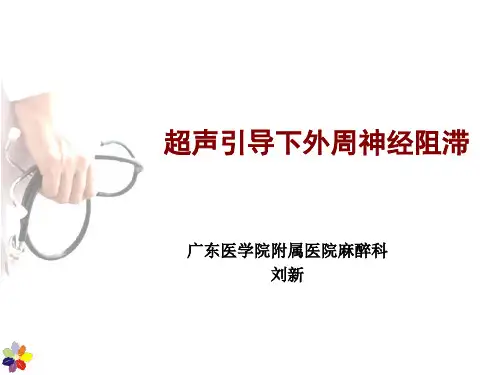 超声引导下外周神经阻滞