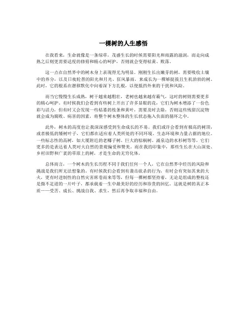 一棵树的人生感悟