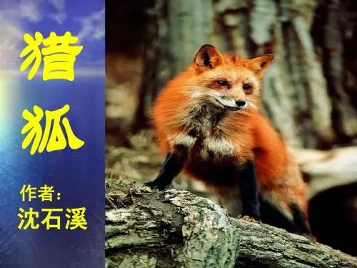 《猎狐》课件