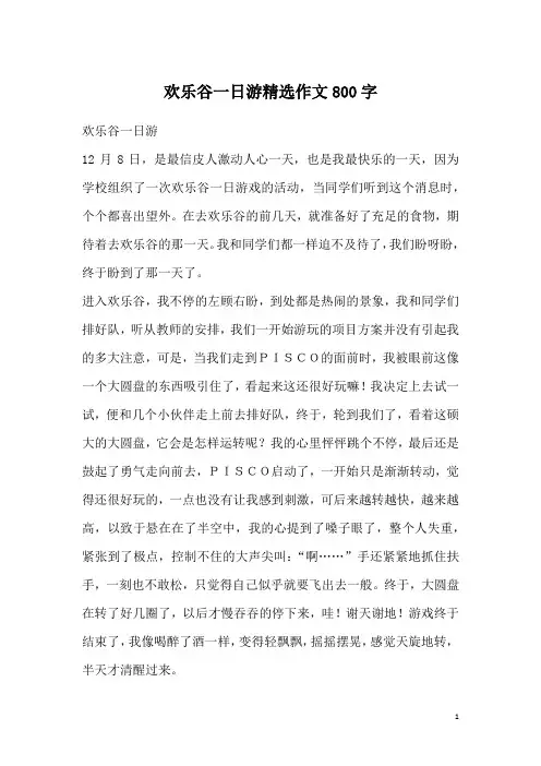 欢乐谷一日游精选作文800字