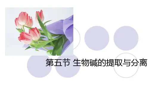 天然药物化学生物碱的提取与分离
