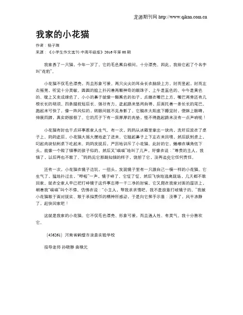 我家的小花猫