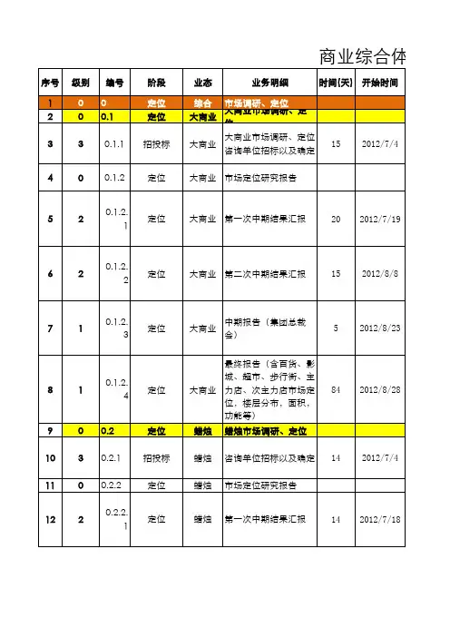 商业综合体开发计划指导书