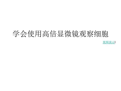 高倍显微镜的使用方法