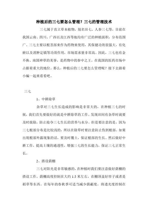 种植后的三七要怎么管理？三七的管理技术.doc