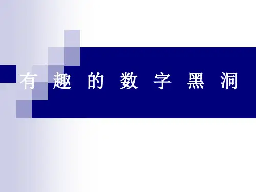 数字黑洞