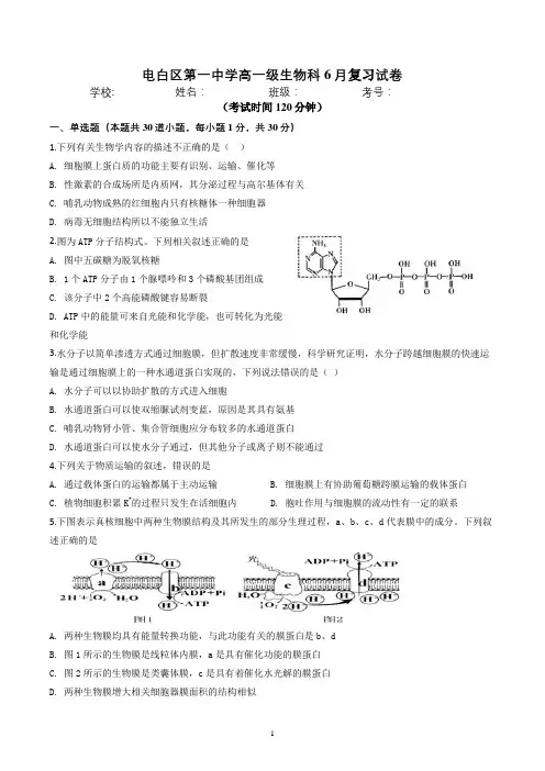 电白区第一中学2018-2019学年高一级生物科6月测验试卷